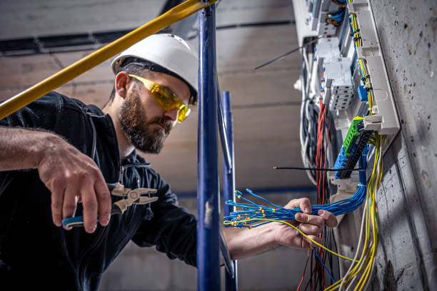 Best Electric Panel Repair  in Bridgewater, VA