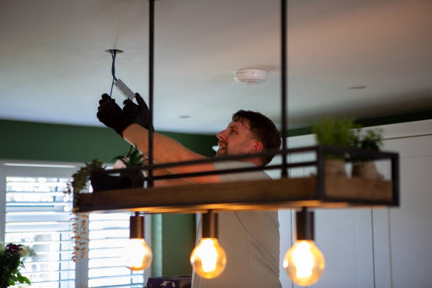 Best Electric Panel Repair  in Bridgewater, VA